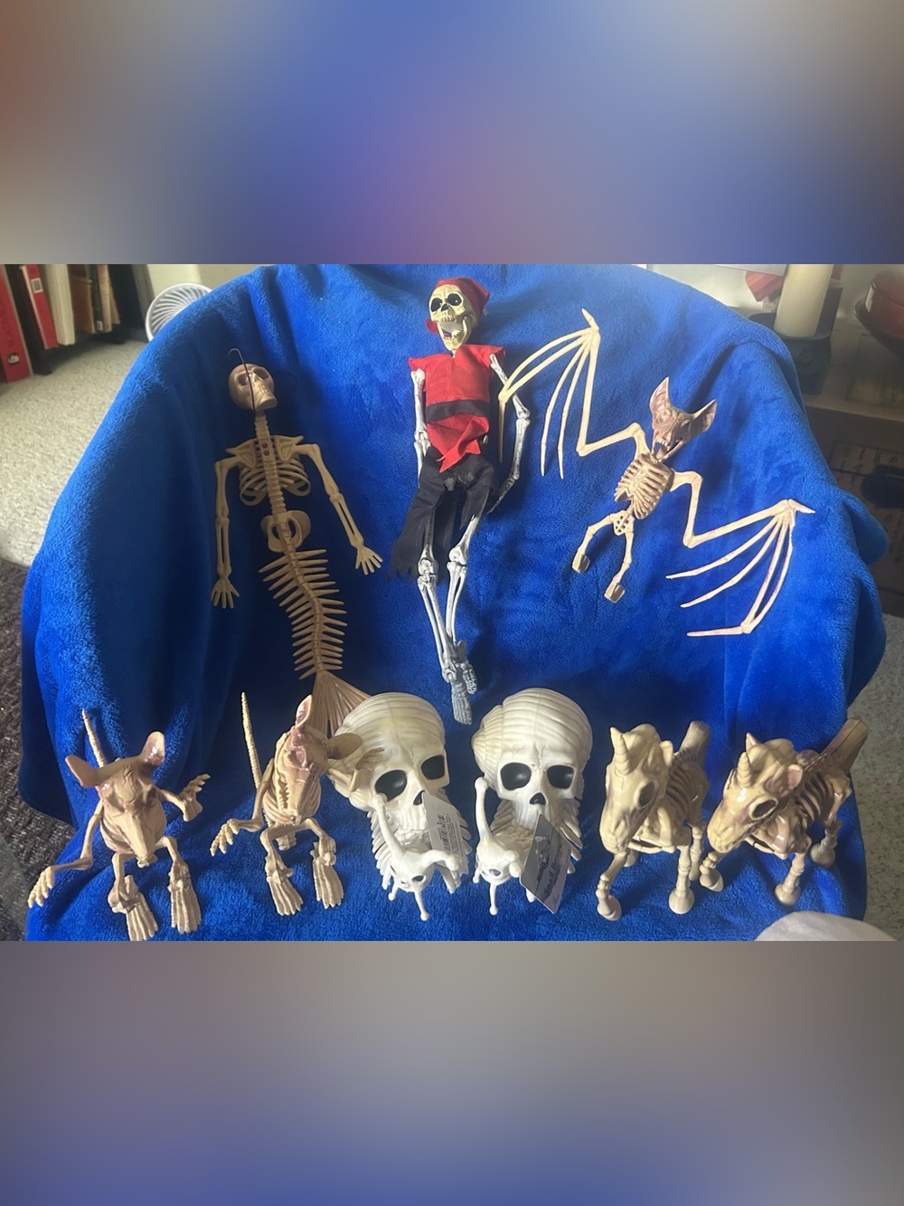 Halloween Skeleton Decor Set - Mixed Beige and White Figures